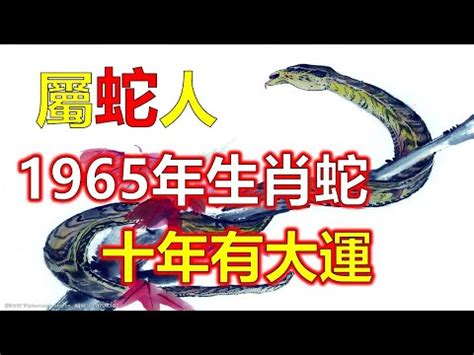 2023蛇年運程1965男